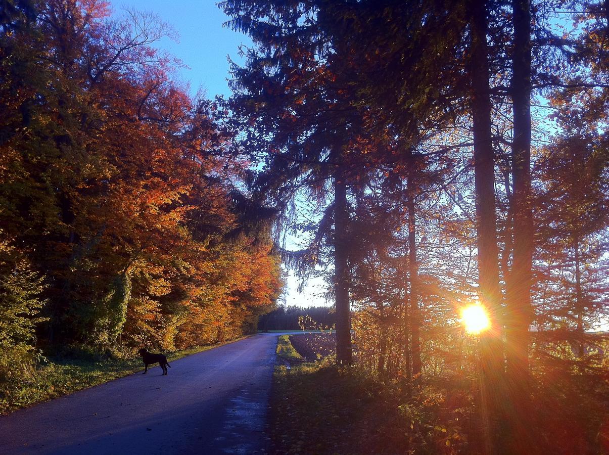 Gasthof Teufl Purgstall an der Erlauf Экстерьер фото