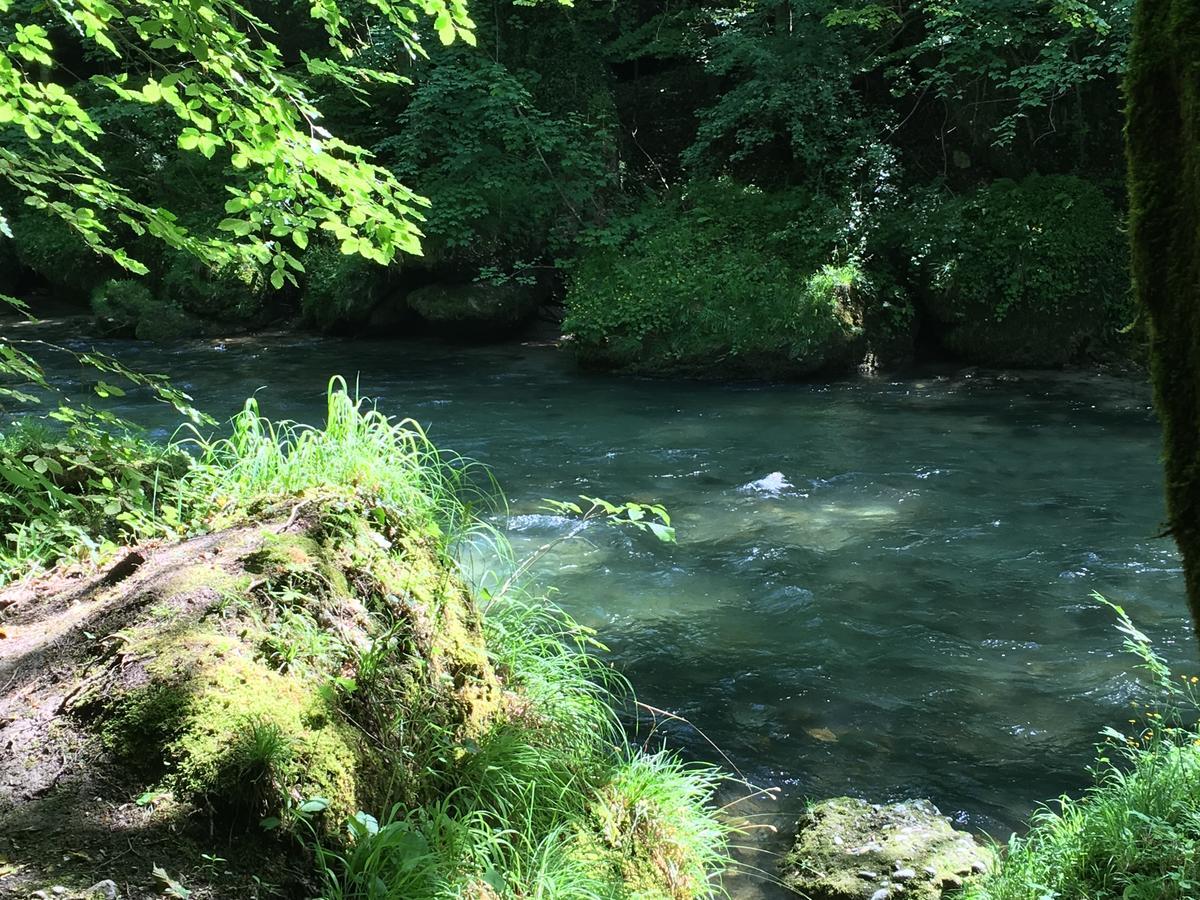 Gasthof Teufl Purgstall an der Erlauf Экстерьер фото